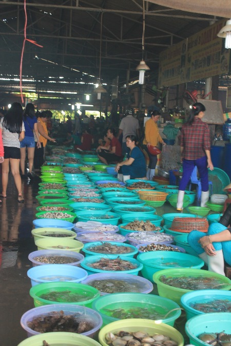 Ngày thường cũng như vào dịp lễ, chợ hải sản luôn là tâm điểm thu hút hàng nghìn du khách. Chợ đông đúc từ sáng đến chiều. Bạn cũng không lo bị thách giá khi mua hải sản, vì hầu hết người bán đều đưa ra mức giá phải chăng. 